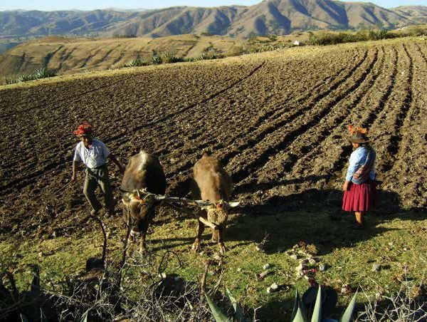 La economía que deja el gobierno saliente: un desafío crítico