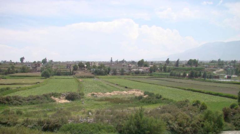 Límites a la propiedad agraria. Un lío entre grandes inversionistas