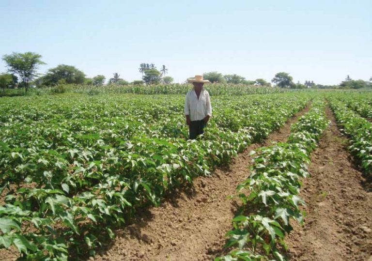 ¡El agro regional no puede esperar!