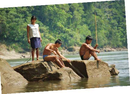 Esta imagen tiene el atributo alt vacío; su nombre de archivo es Amazonia-03.jpg