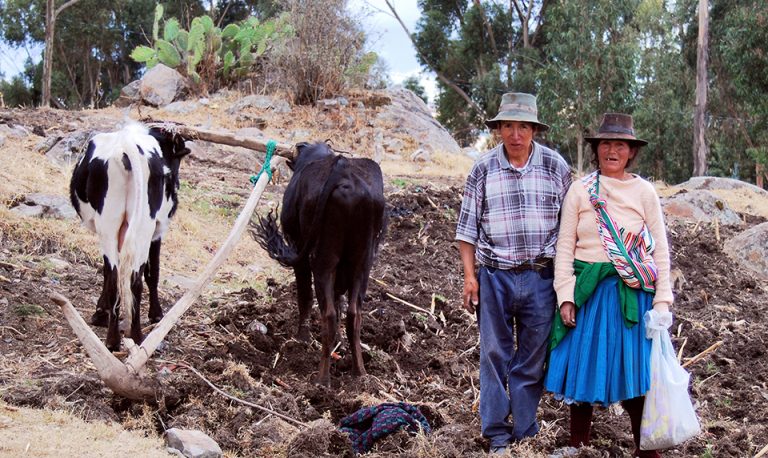 ¿Campesinokuna derechuyuqchu? (¿los campesinos tienen derechos?)