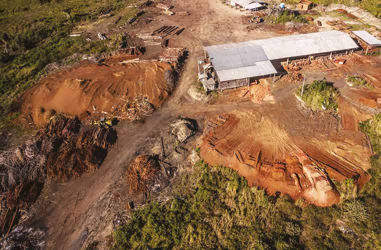Deforestación en la Panamazonía: impacto ecológico y social
