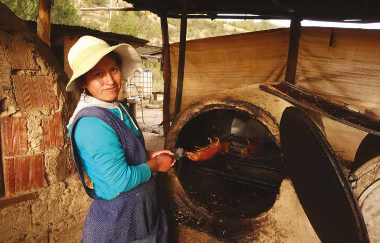 Jóvenes rurales: una propuesta más allá de la edad