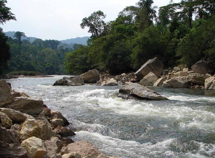 Nuestra responsabilidad hacia el medioambiente, fundamentación teológica