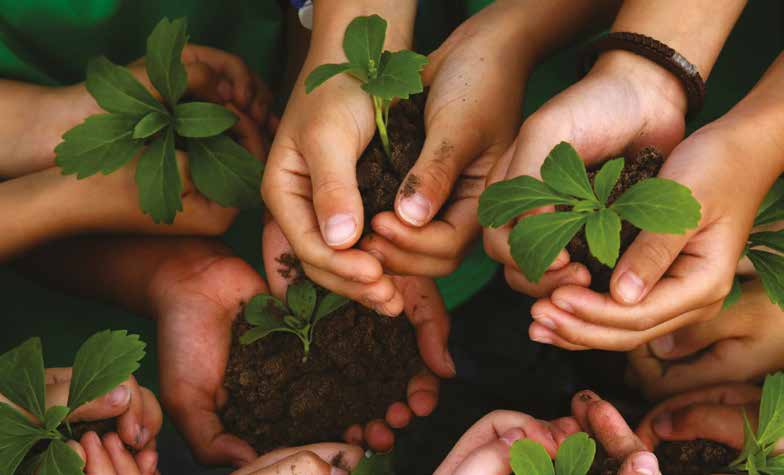 Laudato Si’, un llamado a cuidar la Creación. Una mirada Teológica