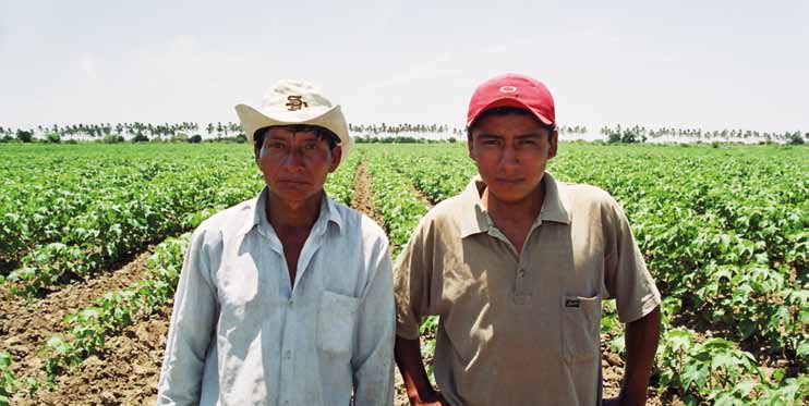 Migración interna: el caso de la sierra piurana