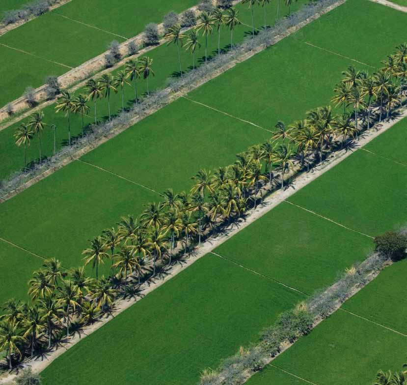 Tierra, Agua y Alimentos: 500 mil hectáreas nuevas para la agricultura