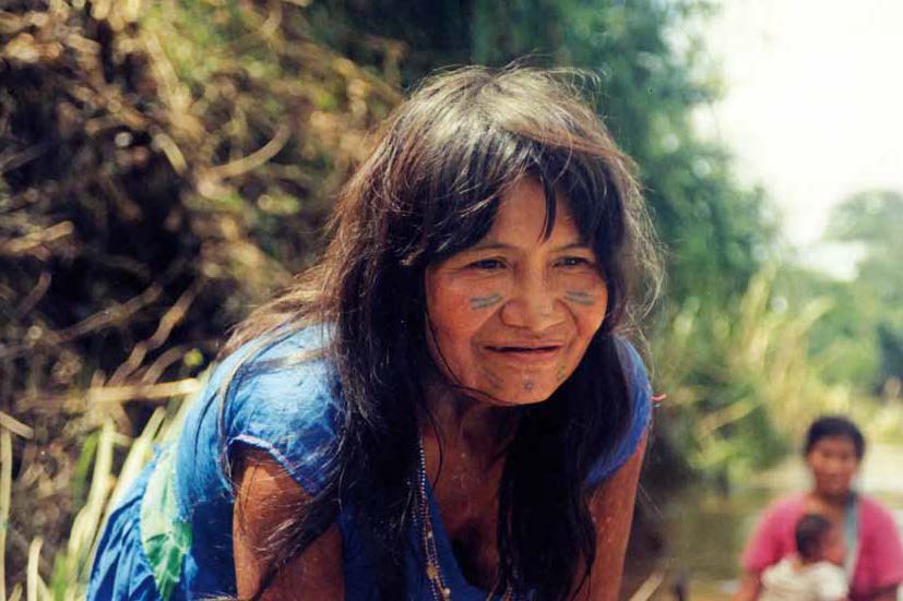 ¿Qué es el derecho a la Consulta de los Pueblos indígenas?