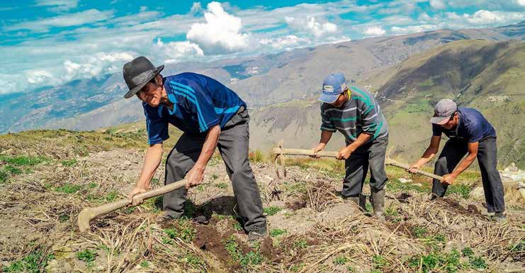La importancia de la agricultura familiar para nuestro futuro