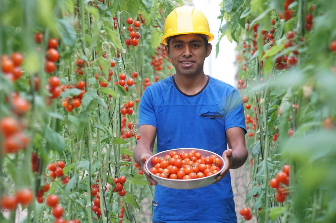 Retos para el desarrollo de la Agricultura Familiar en Piura