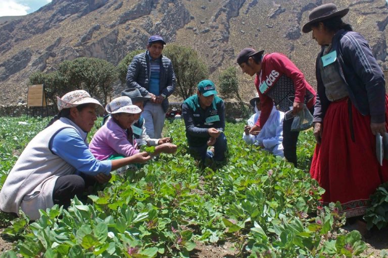 ¿Cómo la economía sostenible evitaría la inseguridad alimentaria? Fortaleciendo la gestión ambiental.