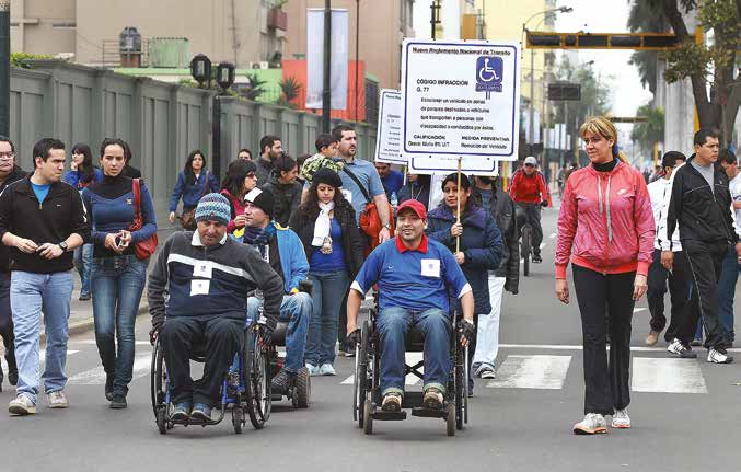 La discapacidad en el Perú