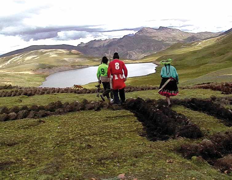Cosecha de agua en Quispicanchi, una experiencia de CCAIJO