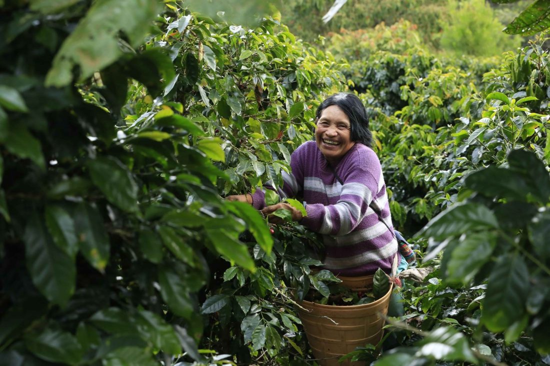 Mujeres, agricultura familiar y agrobiodiversidad en la Amazonía