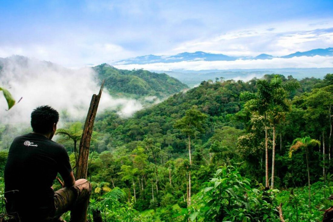 Perú: política, medioambiente y cambio climático