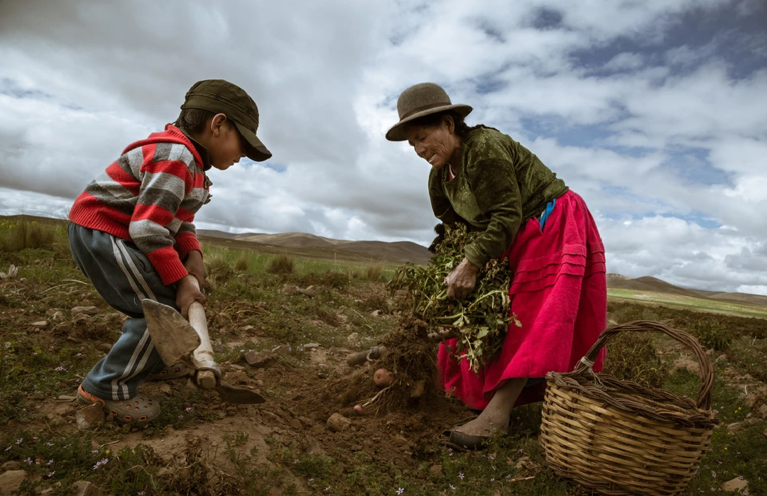 Seguridad Alimentaria en Sudamérica: pan para hoy, malnutrición para mañana