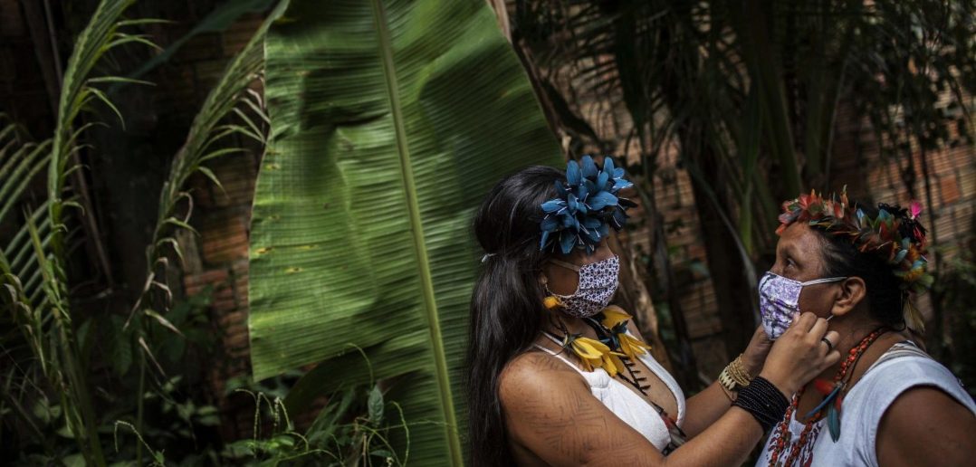 Selva, salud y medio ambiente